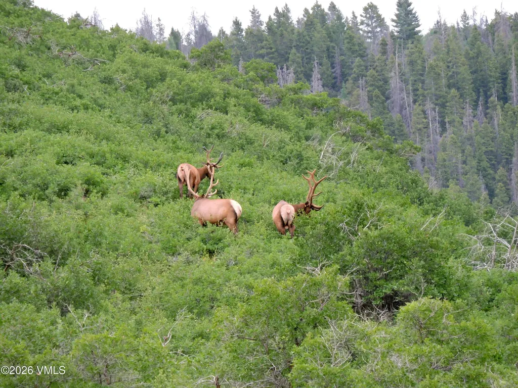 6010 Salt Creek Road Eagle CO 81631