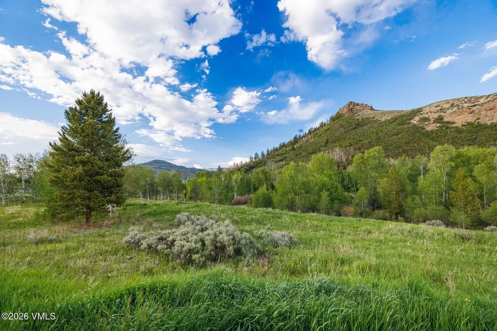22090 County Road 212 Oak Creek CO 80467