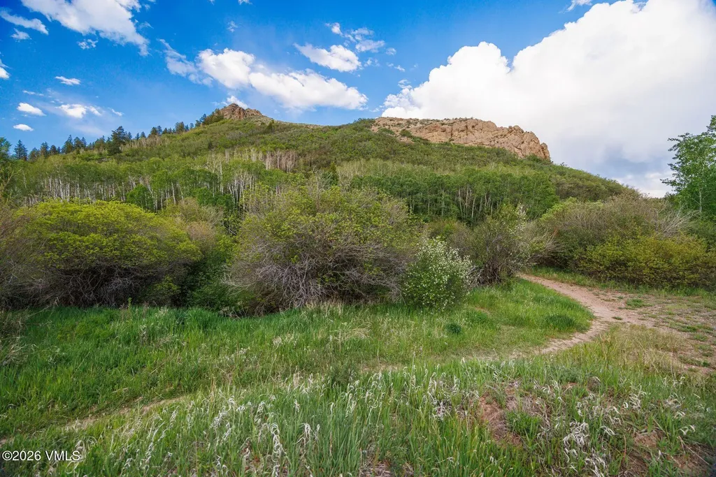 22090 County Road 212 Oak Creek CO 80467