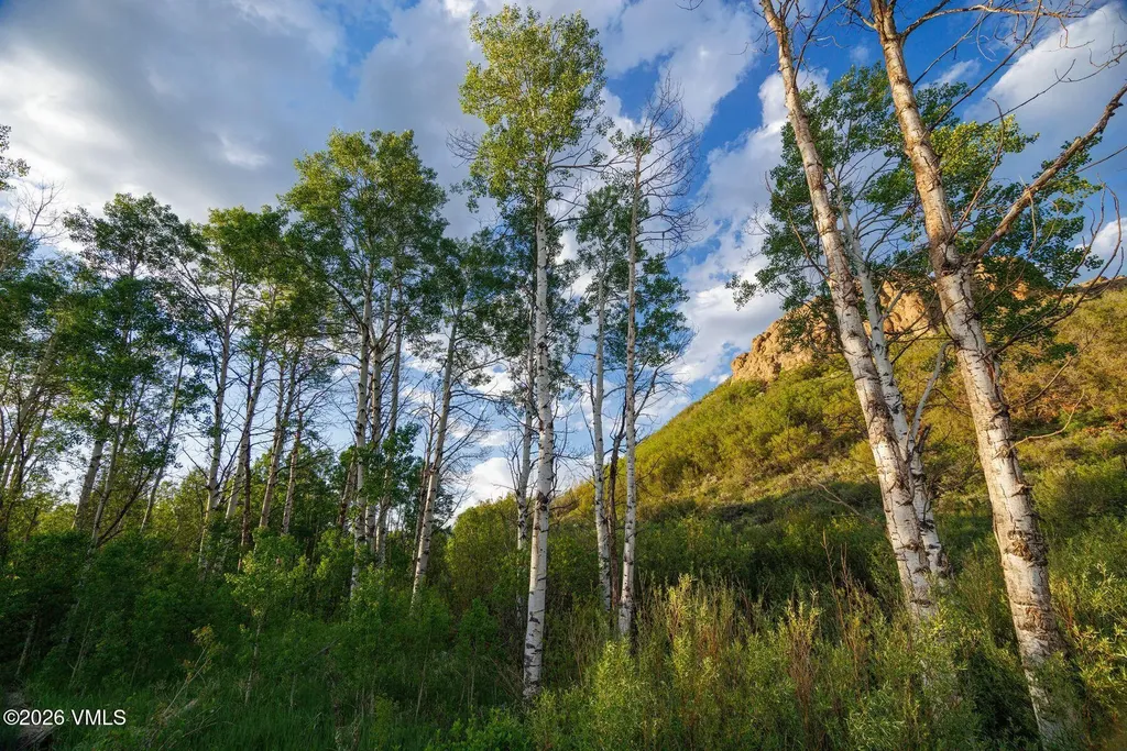 22090 County Road 212 Oak Creek CO 80467