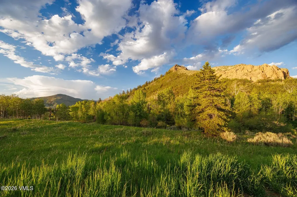22090 County Road 212 Oak Creek CO 80467