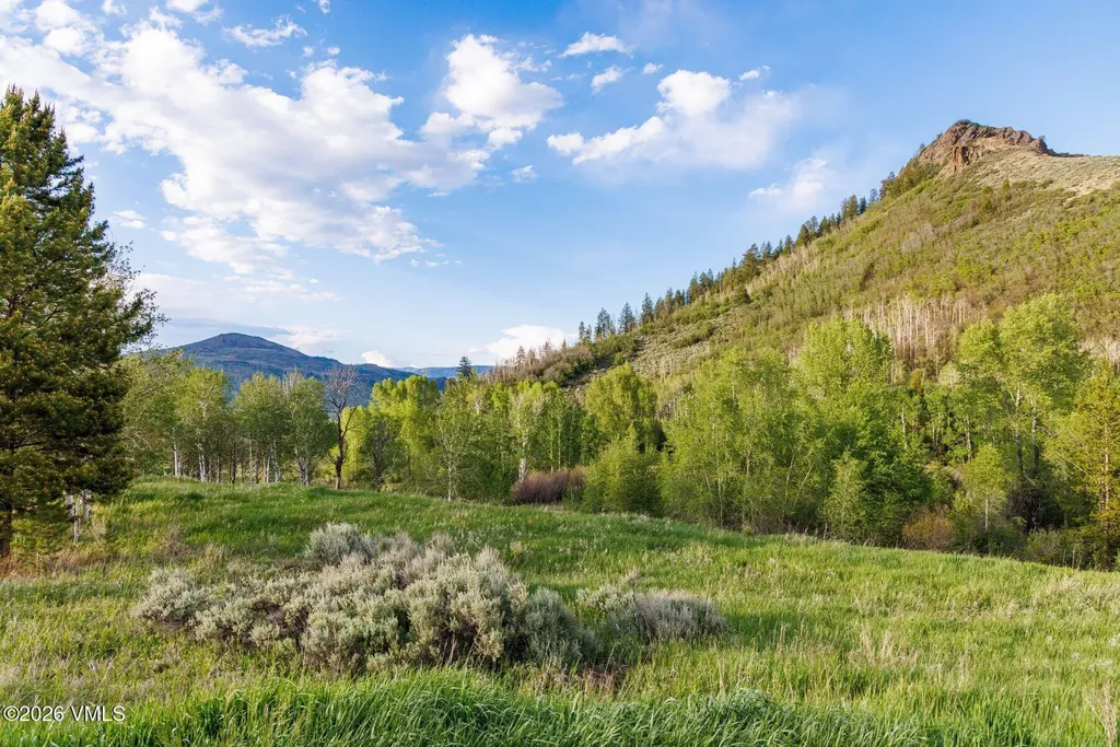 22090 County Road 212 Oak Creek CO 80467