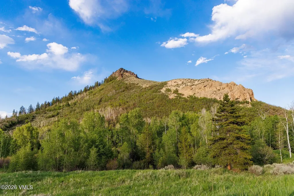 22090 County Road 212 Oak Creek CO 80467