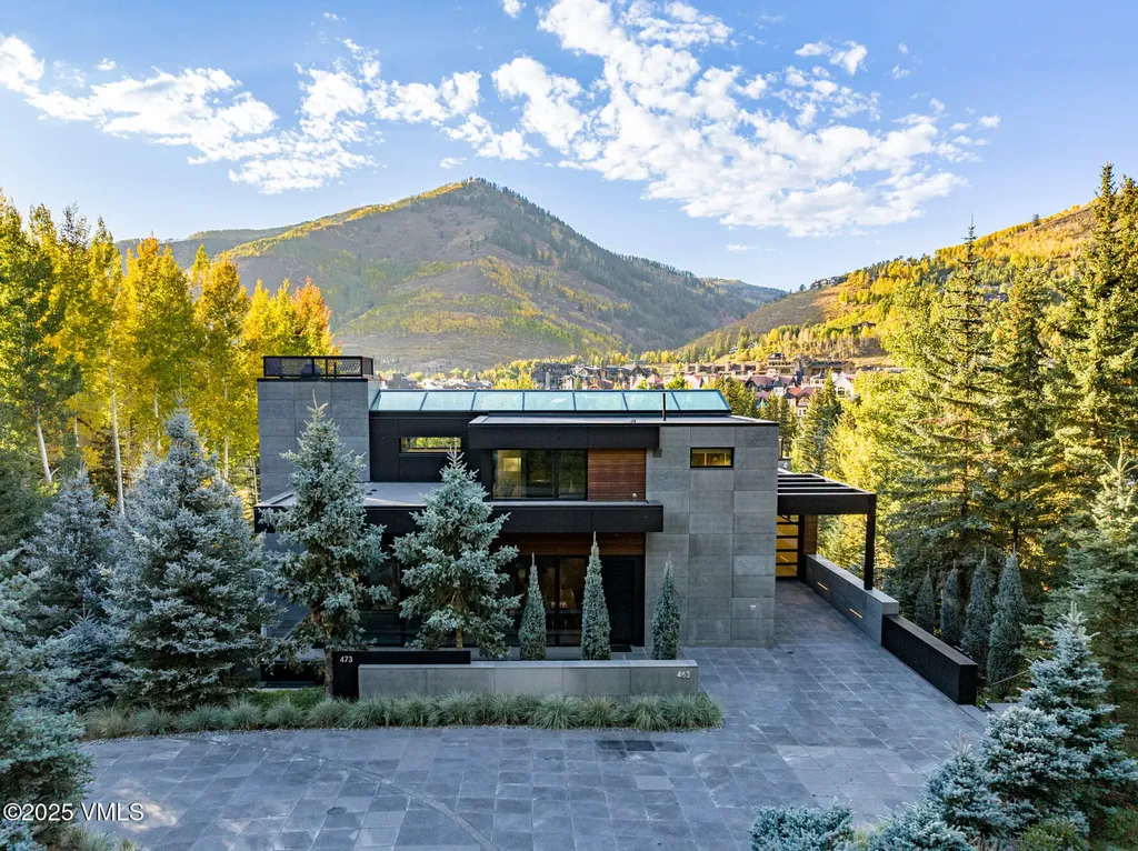 463 Beaver Dam Road Vail CO 81657