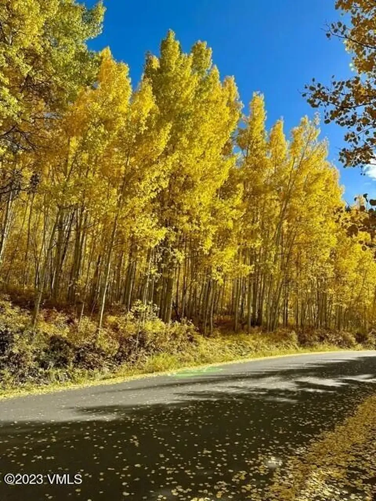 1895 Sunburst Drive Vail CO 81657