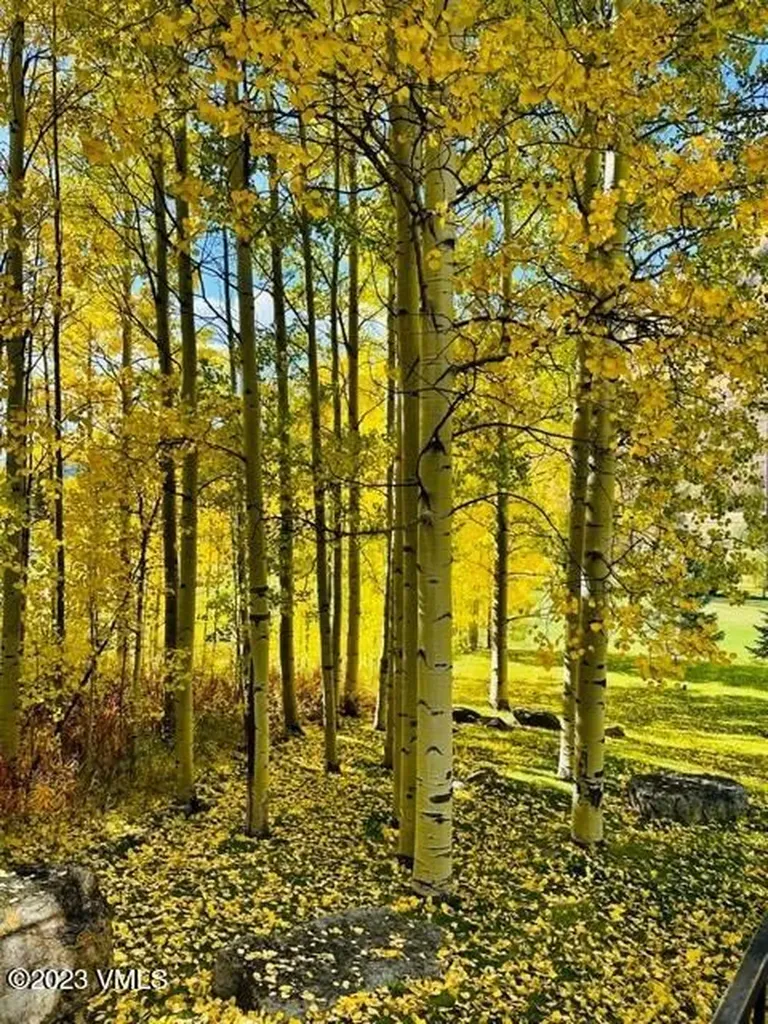 1895 Sunburst Drive Vail CO 81657