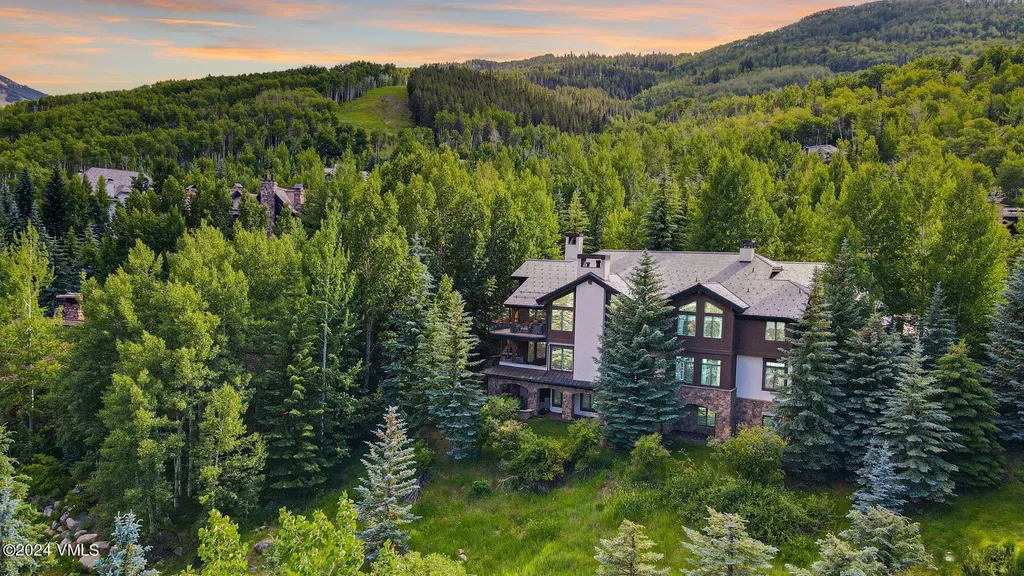 59 Borders Road Beaver Creek CO 81620