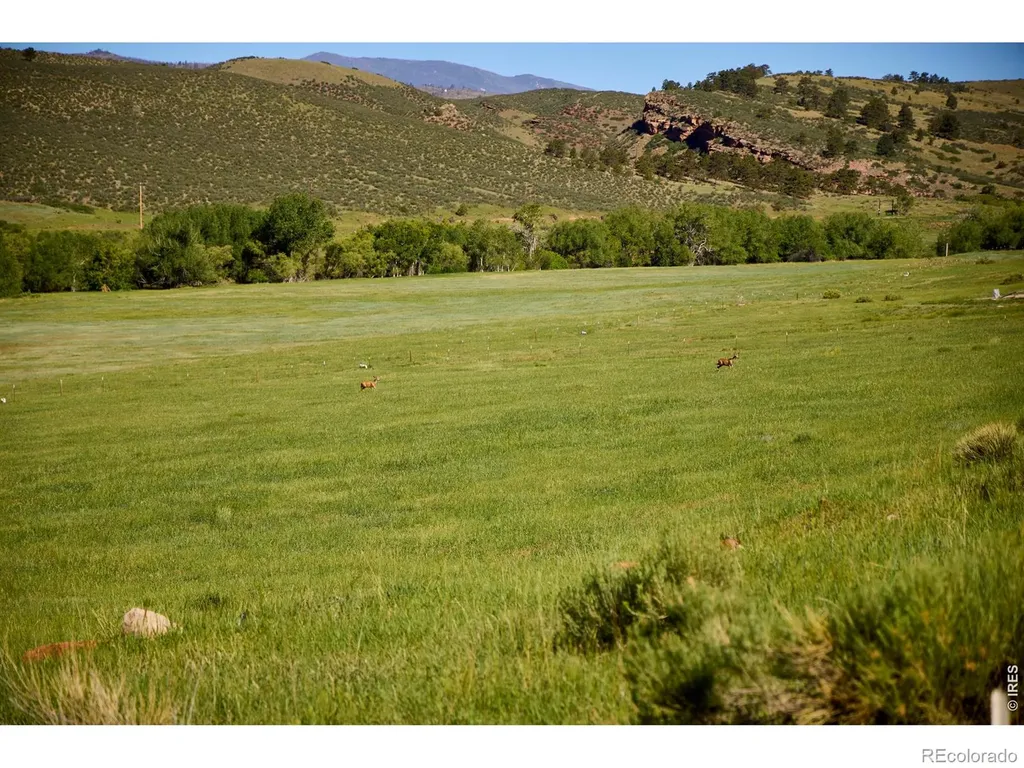 10339 Buckhorn Ridge Way Loveland CO 80538