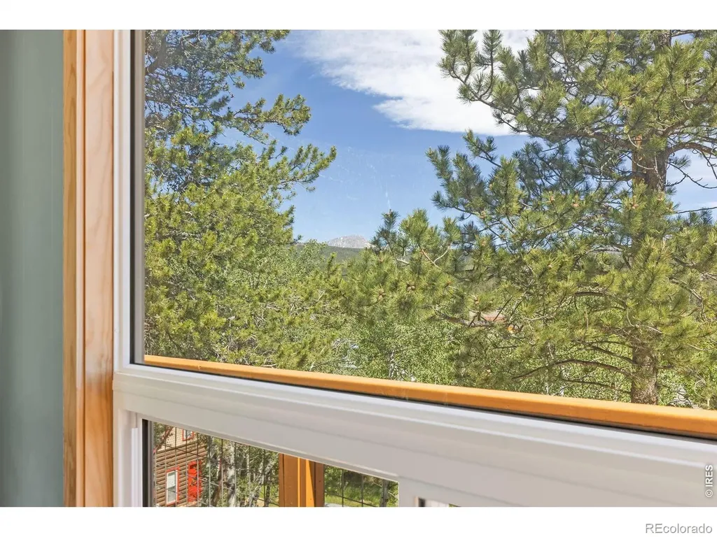 38 E Pine Street Nederland CO 80466