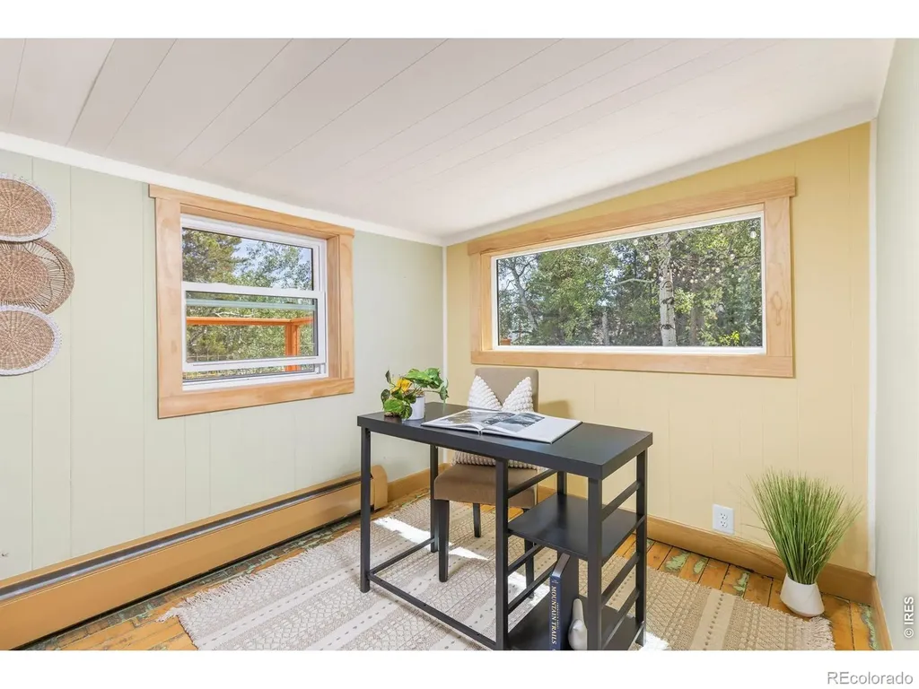 38 E Pine Street Nederland CO 80466