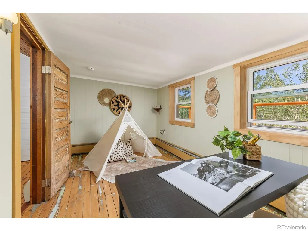 38 E Pine Street Nederland CO 80466