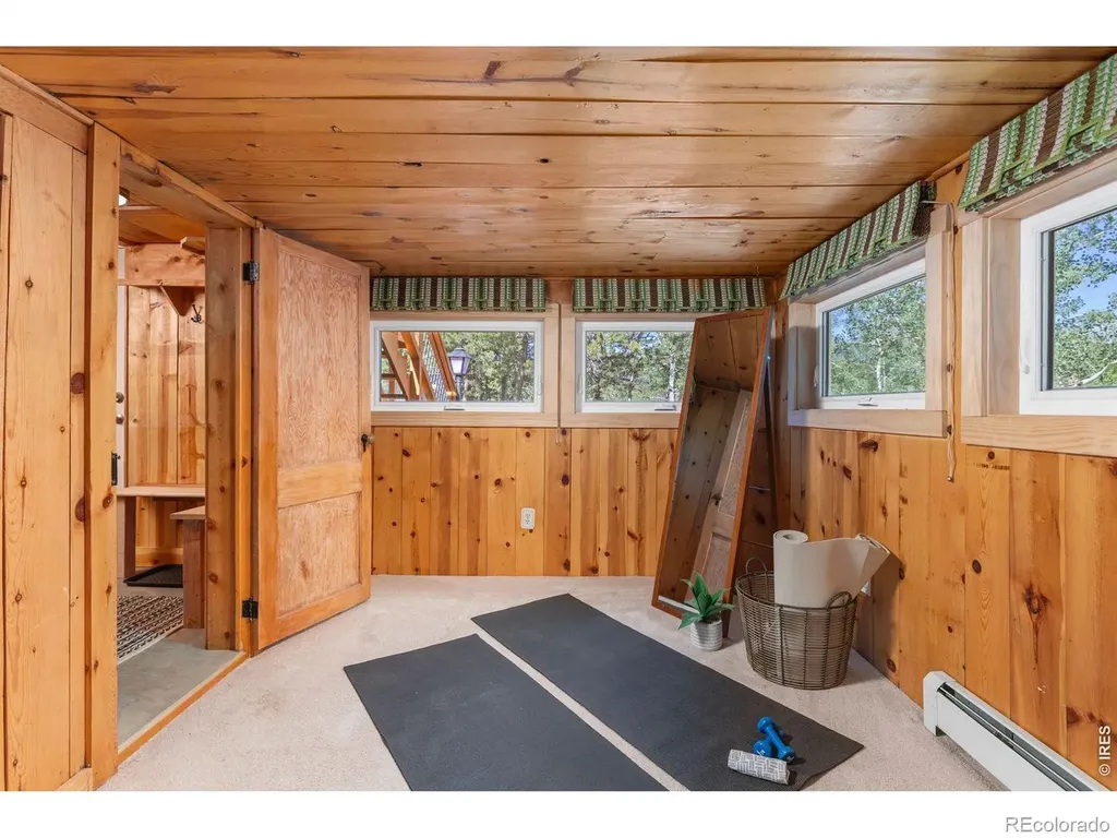 38 E Pine Street Nederland CO 80466
