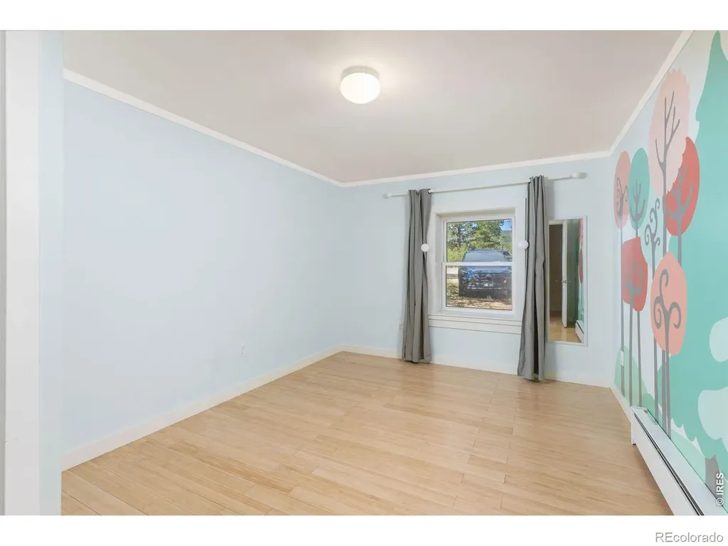 38 E Pine Street Nederland CO 80466