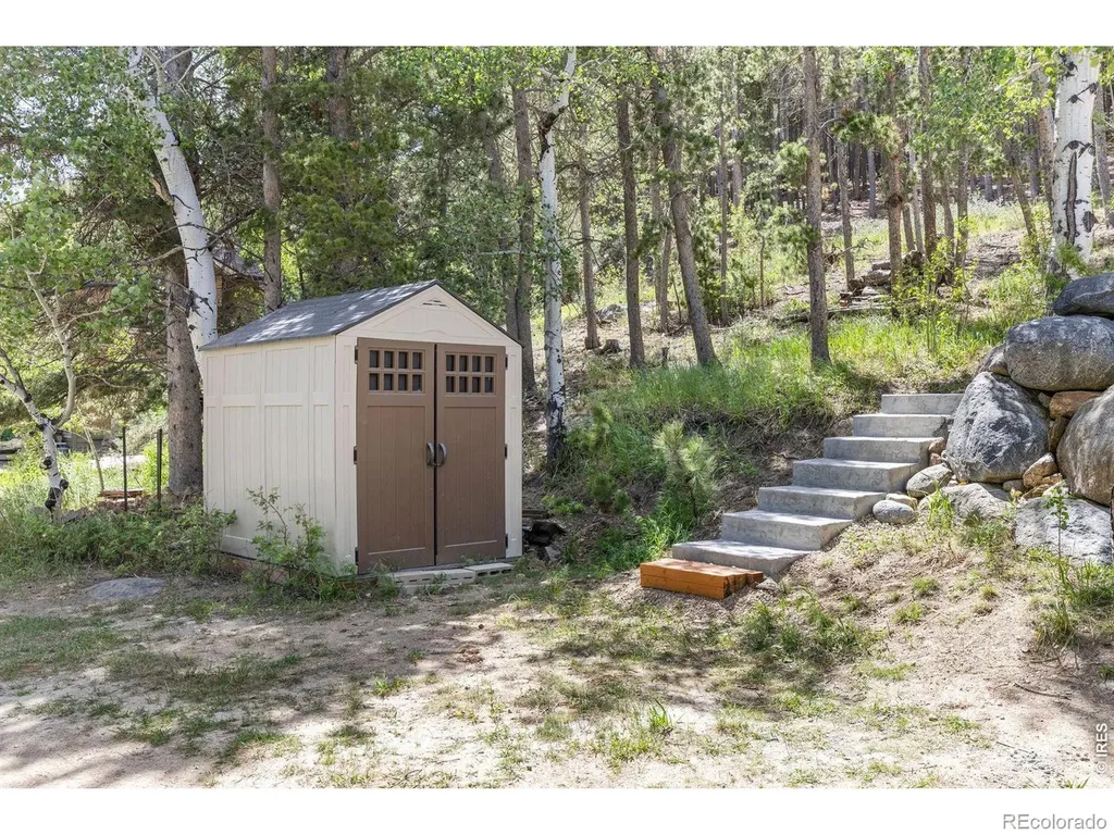 38 E Pine Street Nederland CO 80466