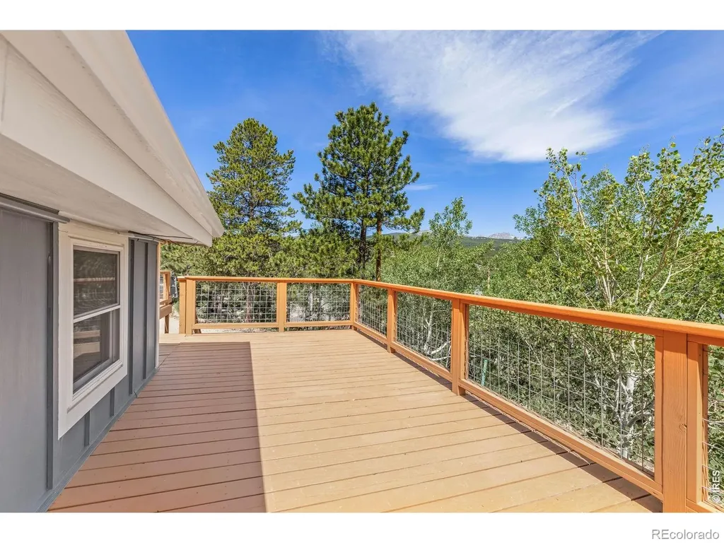 38 E Pine Street Nederland CO 80466