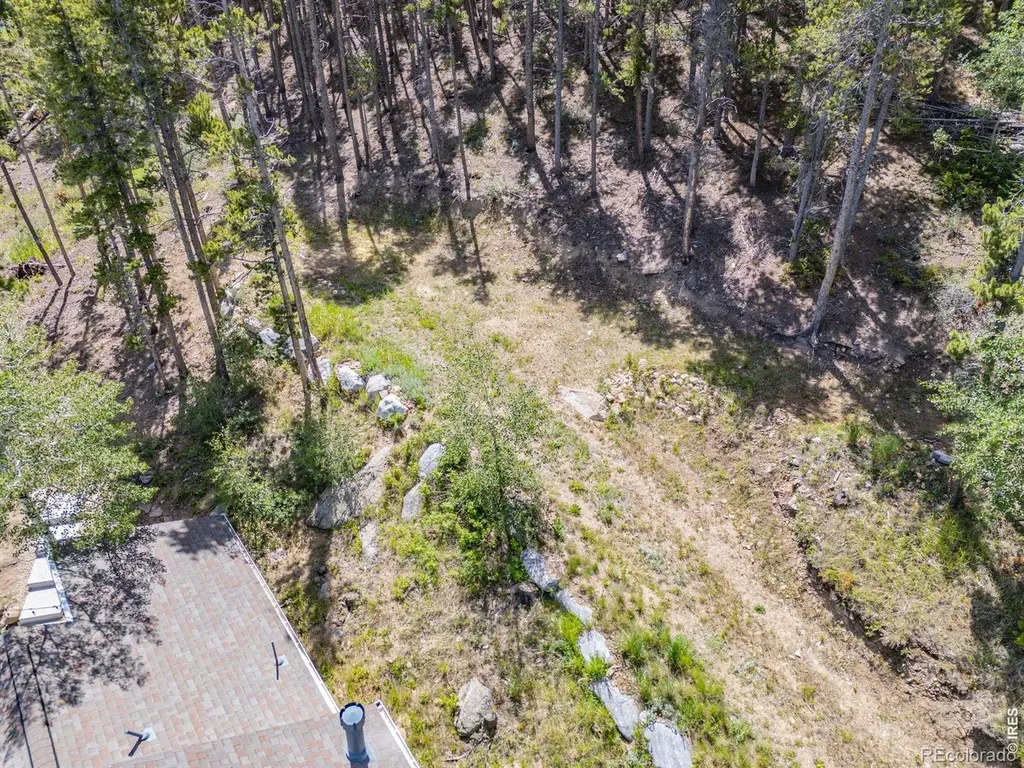 38 E Pine Street Nederland CO 80466