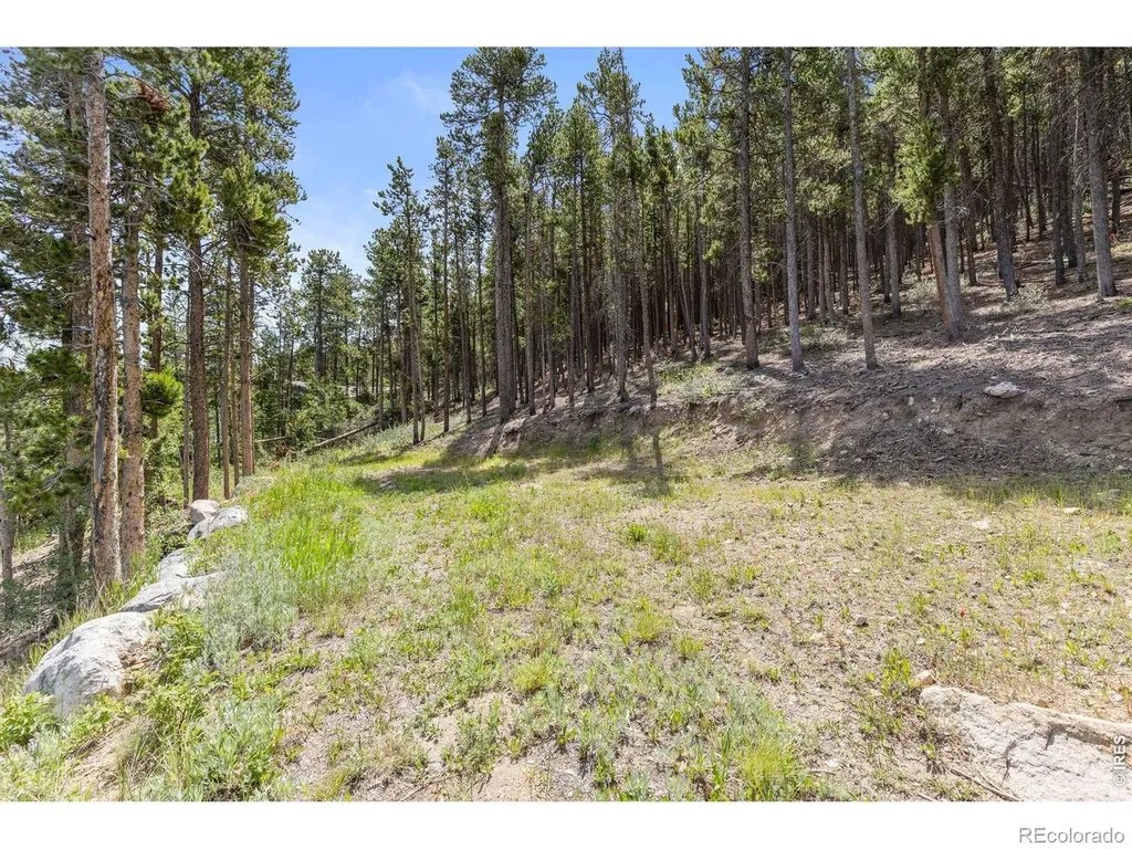 38 E Pine Street Nederland CO 80466
