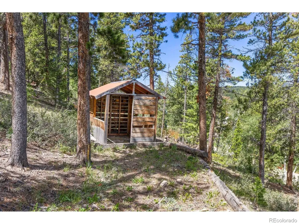 38 E Pine Street Nederland CO 80466