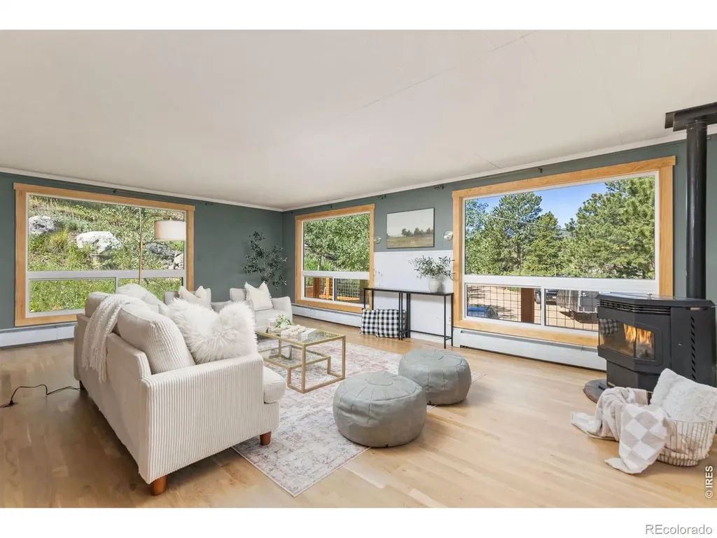 38 E Pine Street Nederland CO 80466