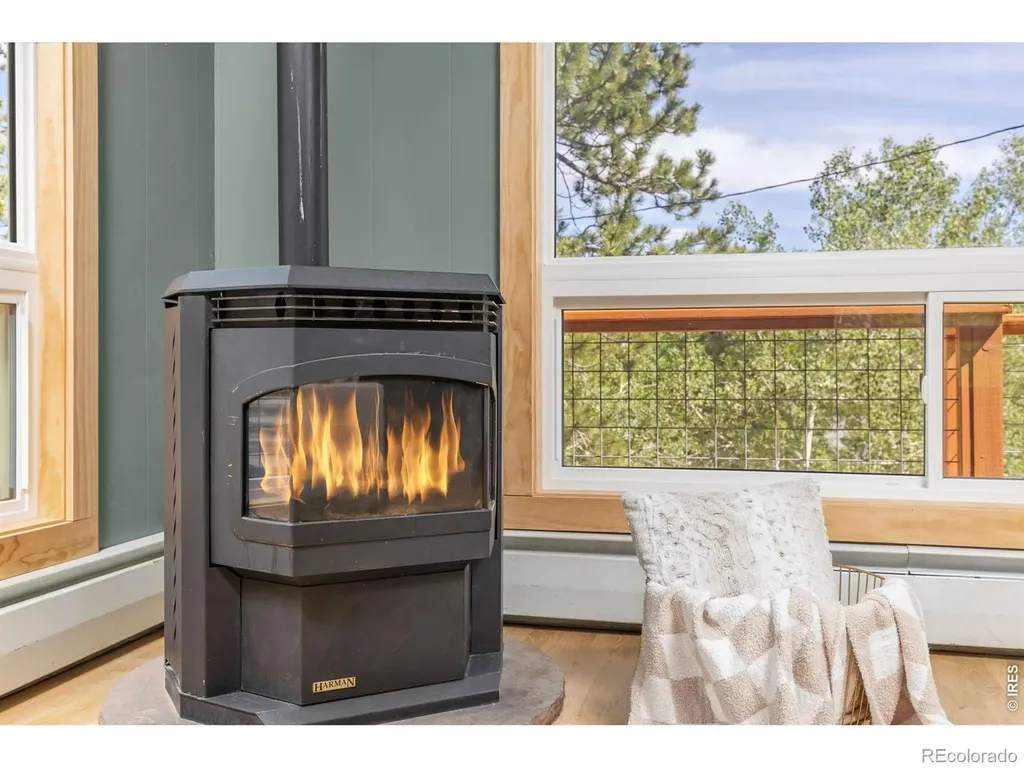 38 E Pine Street Nederland CO 80466
