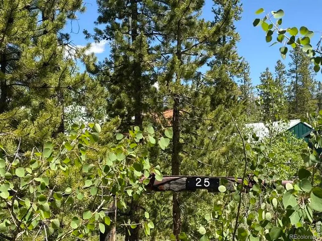 25 Aspen Drive Walden CO 80480