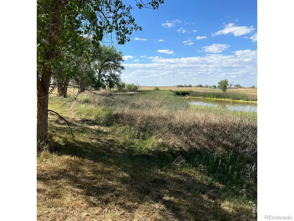 26247 County Road 2 Orchard CO 80649