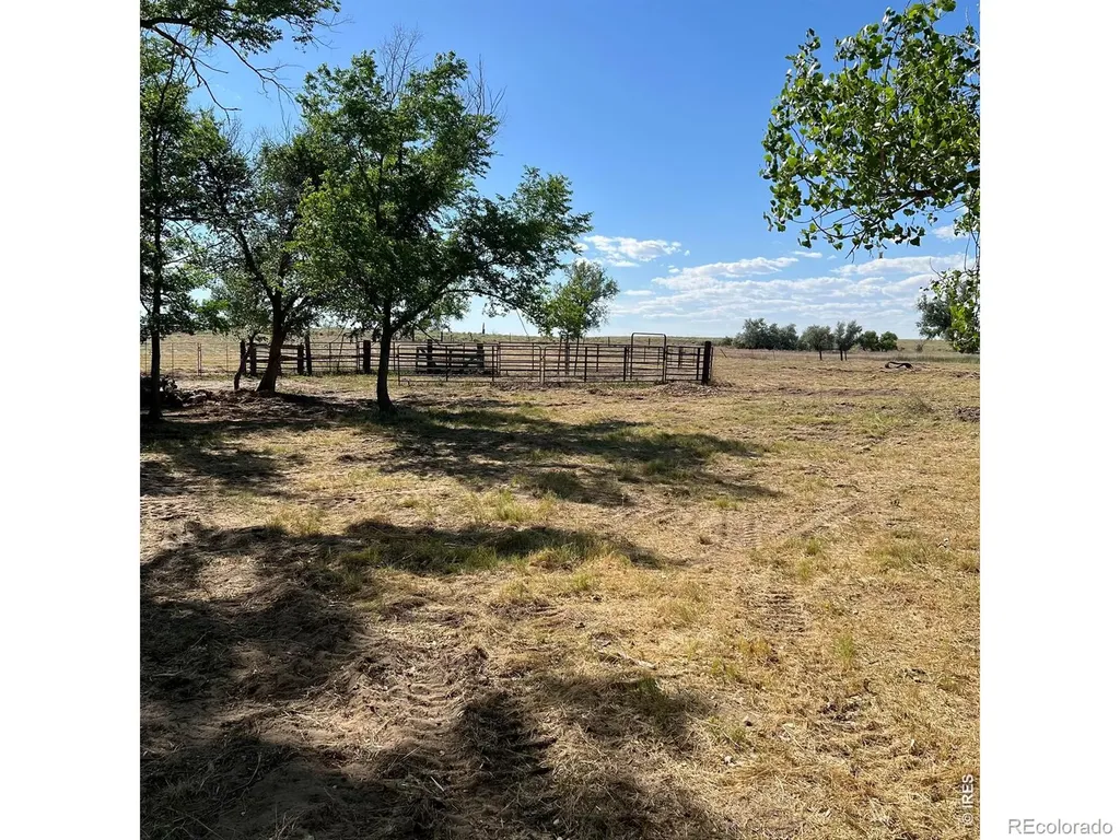 26247 County Road 2 Orchard CO 80649