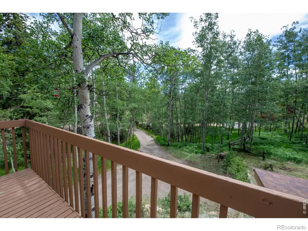 1221 Hughesville Road Black Hawk CO 80422