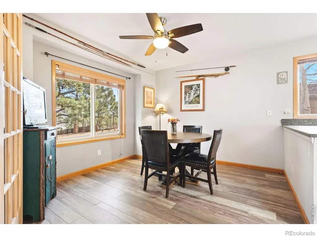 704 Birdie Lane Estes Park CO 80517