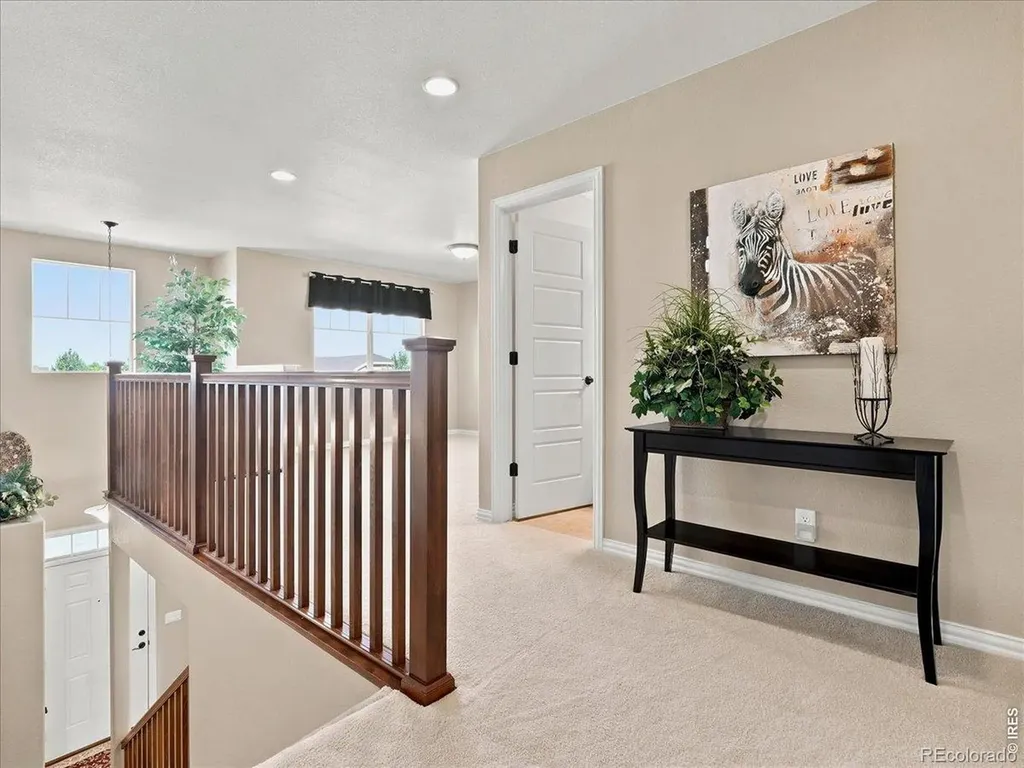 5843 Calgary Street Timnath CO 80547