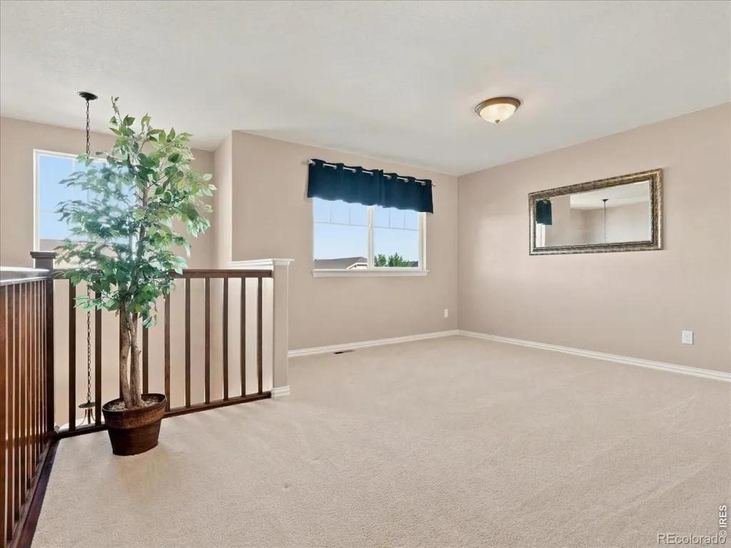 5843 Calgary Street Timnath CO 80547