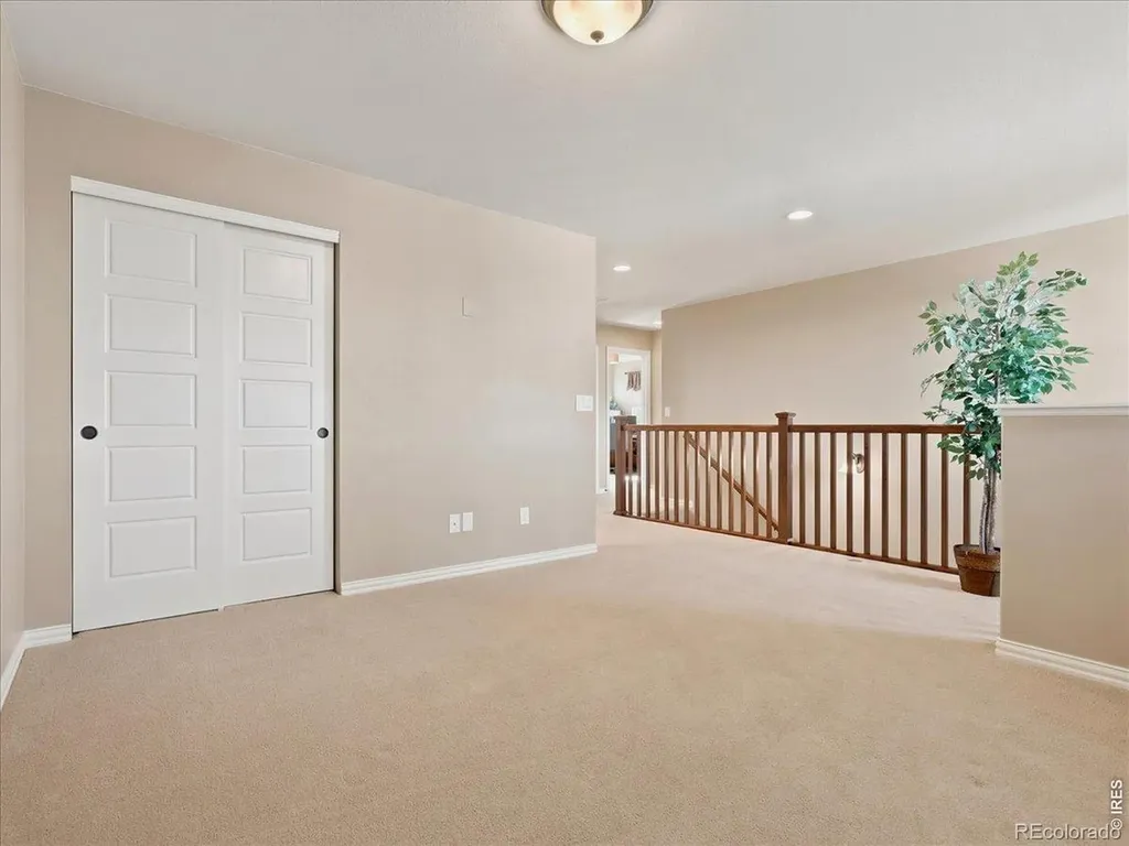 5843 Calgary Street Timnath CO 80547