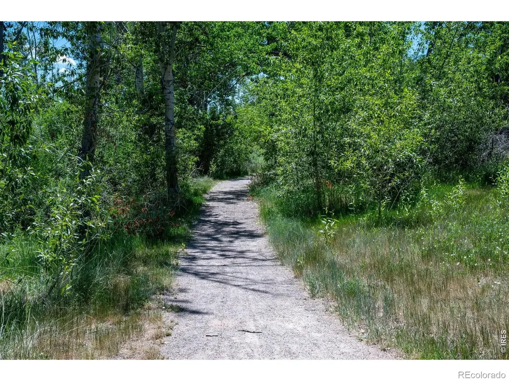 339 Lodgewood Point Lafayette CO 80026