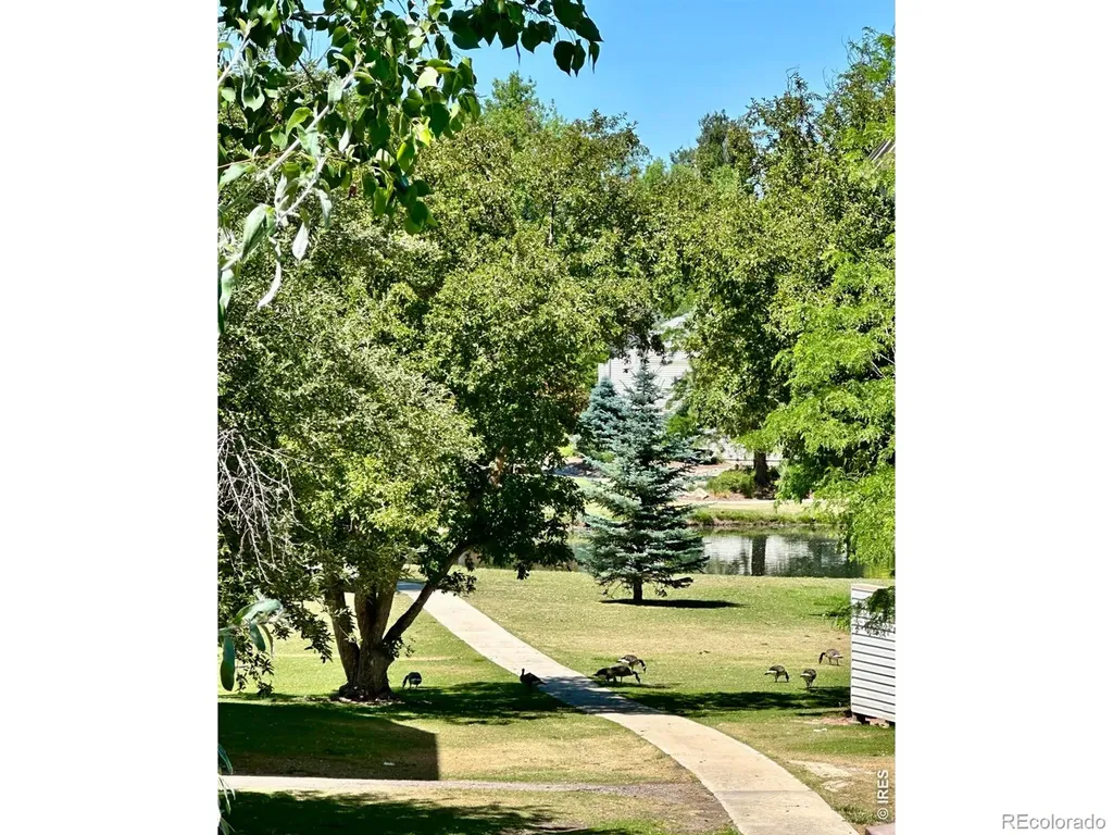 1705 Heatheridge Road Fort Collins CO 80526