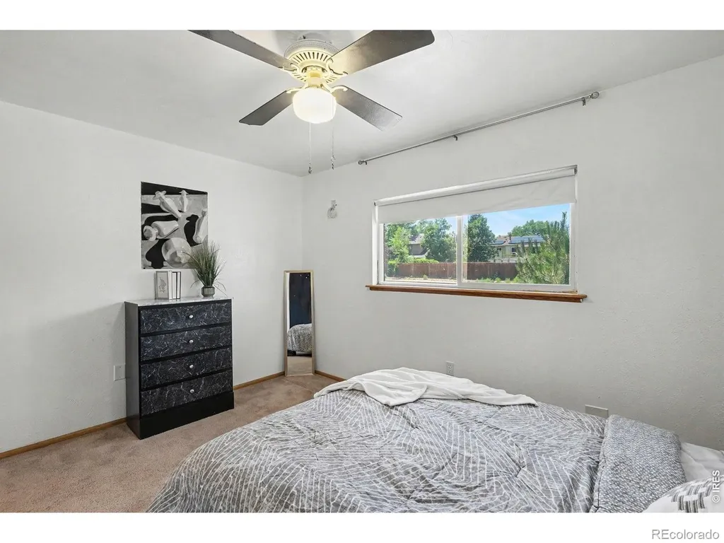 515 7th Street Windsor CO 80550