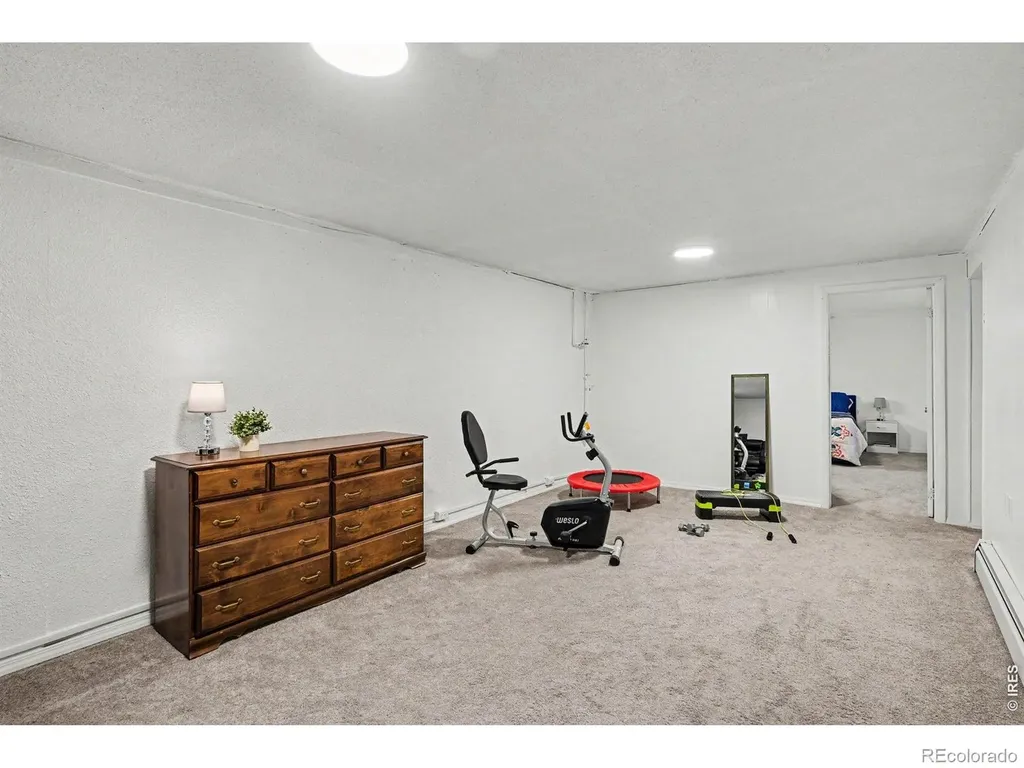 515 7th Street Windsor CO 80550