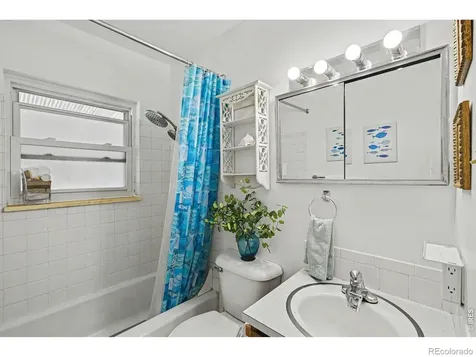 515 7th Street Windsor CO 80550