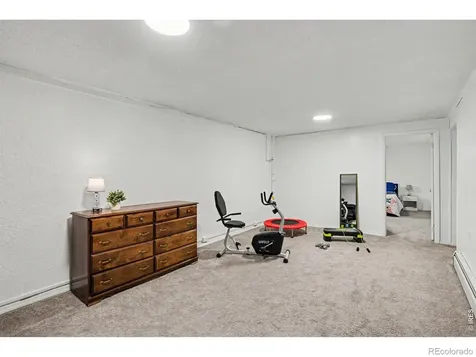 515 7th Street Windsor CO 80550