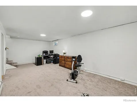 515 7th Street Windsor CO 80550