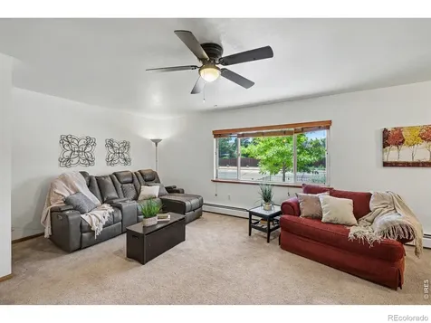 515 7th Street Windsor CO 80550