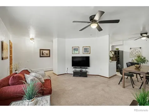 515 7th Street Windsor CO 80550