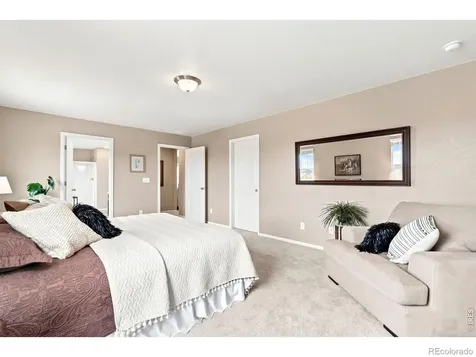 1663 Highfield Drive Windsor CO 80550