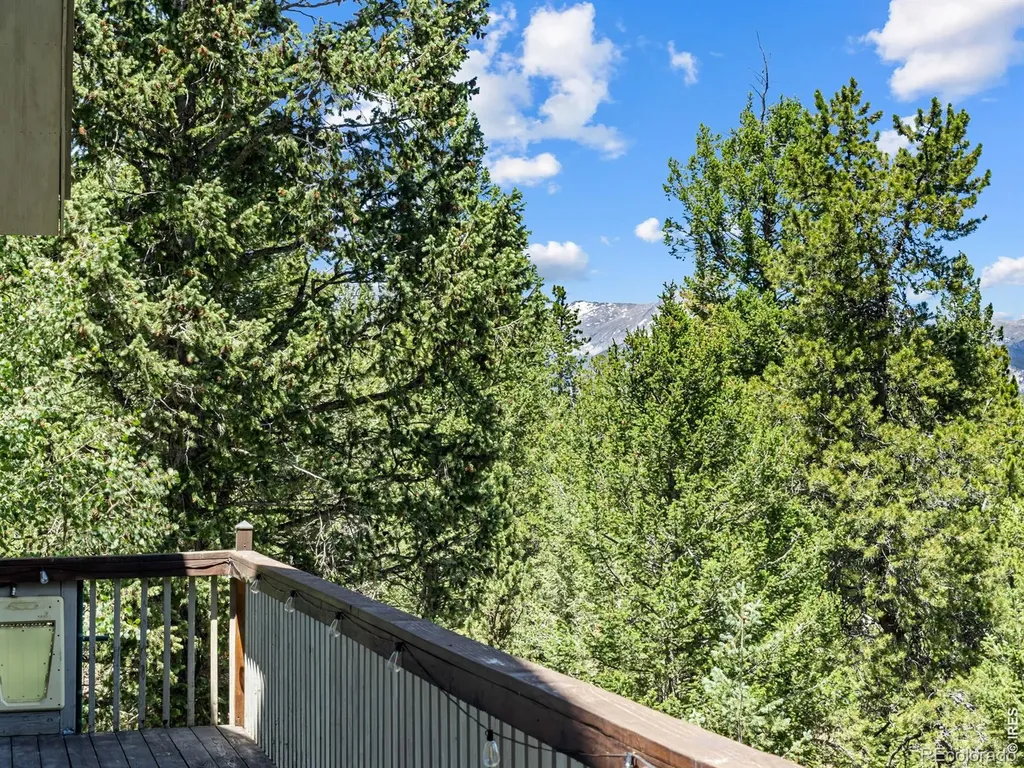 1705 Hummingbird Drive Estes Park CO 80517