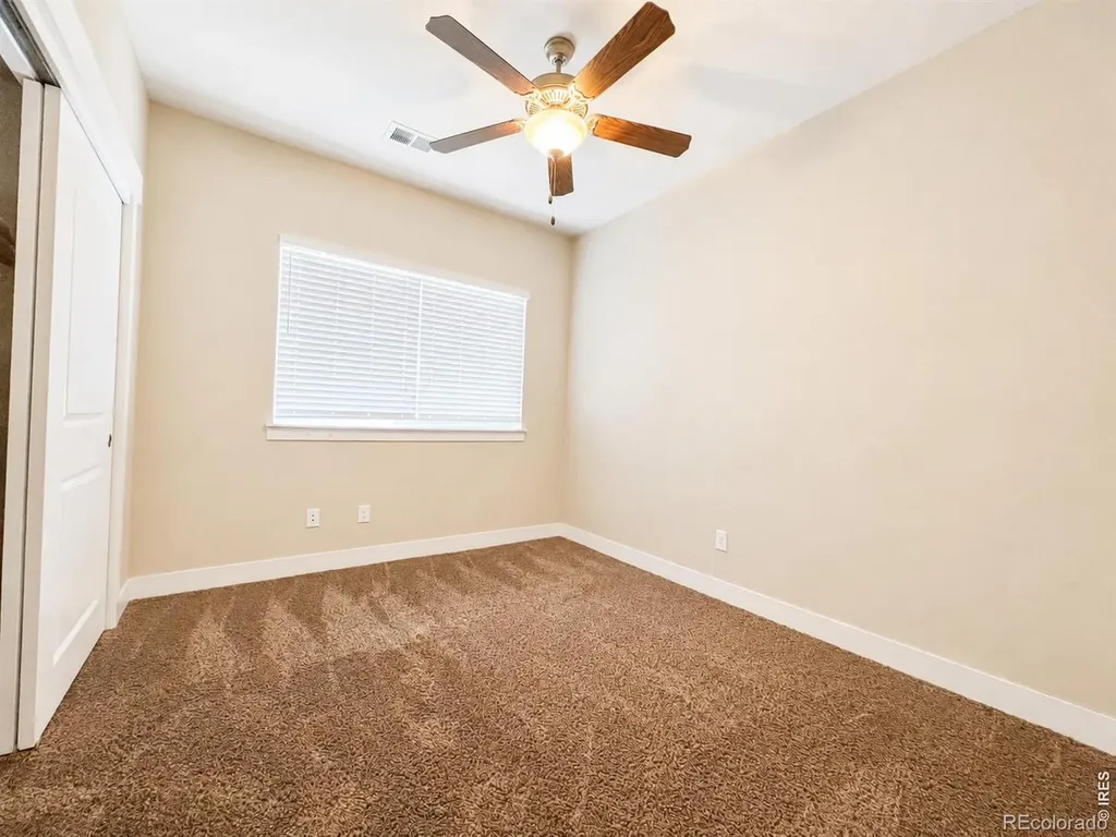 3826 Steelhead Street Fort Collins CO 80528
