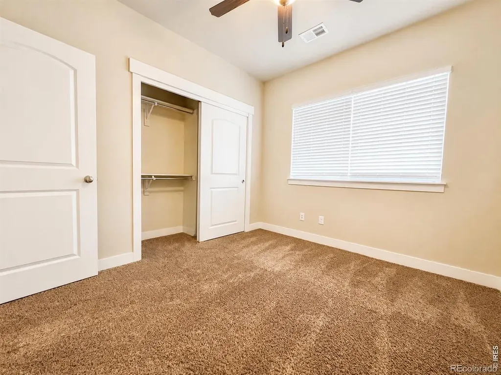 3826 Steelhead Street Fort Collins CO 80528