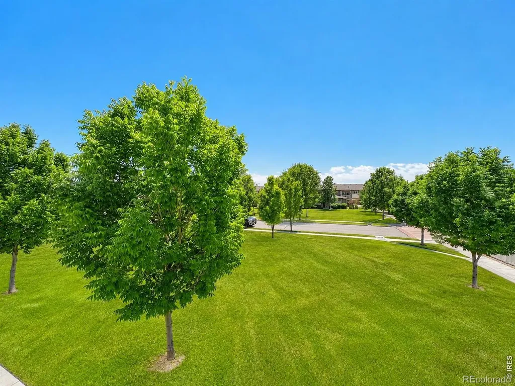 3826 Steelhead Street Fort Collins CO 80528