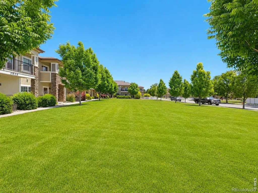 3826 Steelhead Street Fort Collins CO 80528