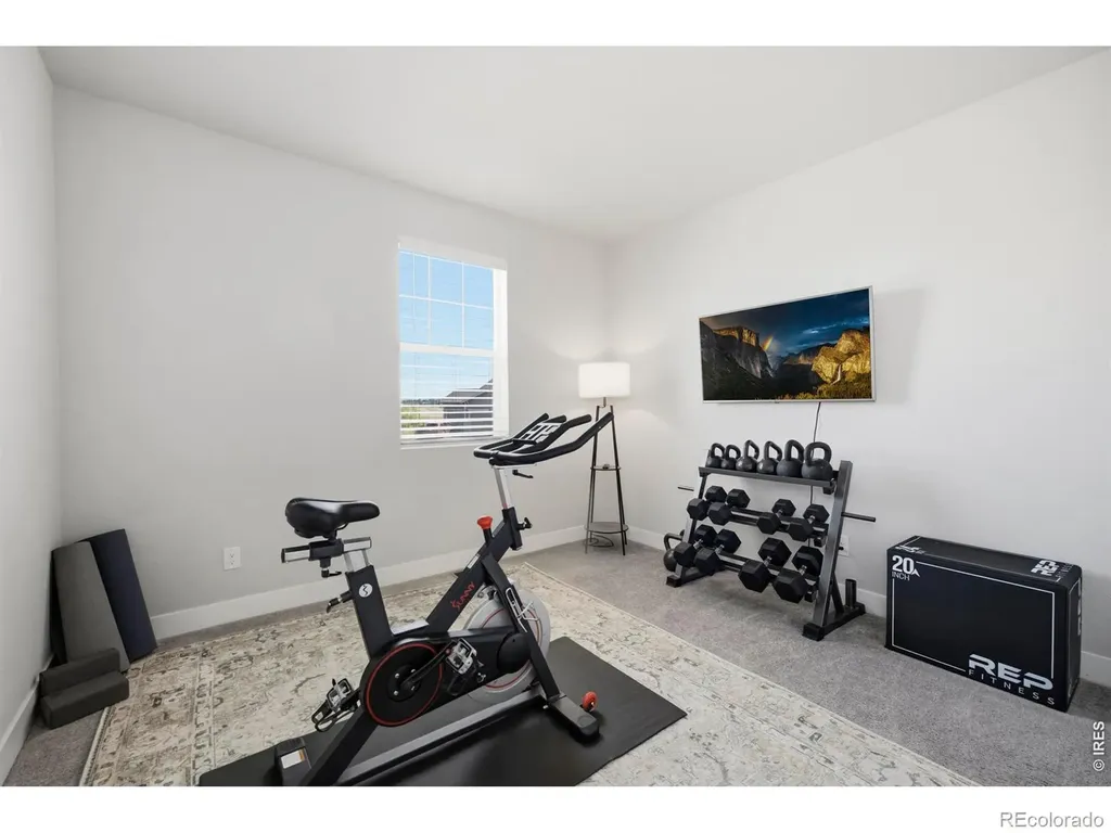 6399 Verna Court Timnath CO 80547