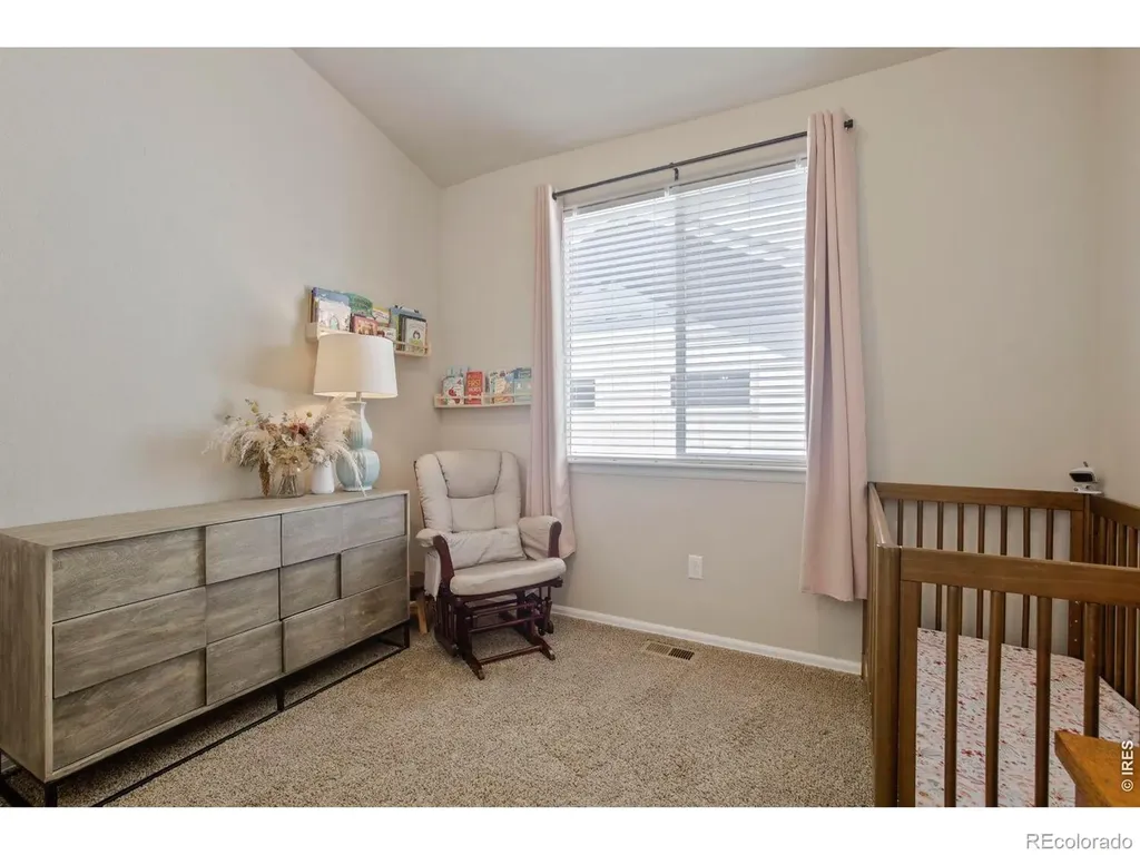 374 Mt Bross Avenue Severance CO 80550
