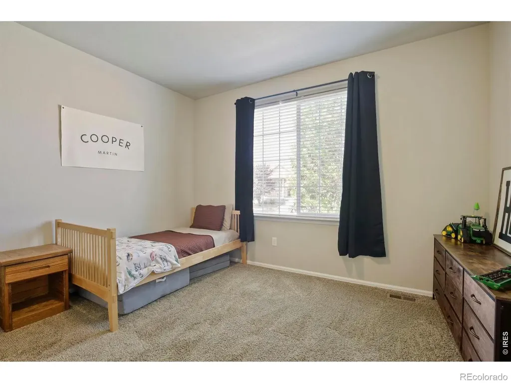 374 Mt Bross Avenue Severance CO 80550